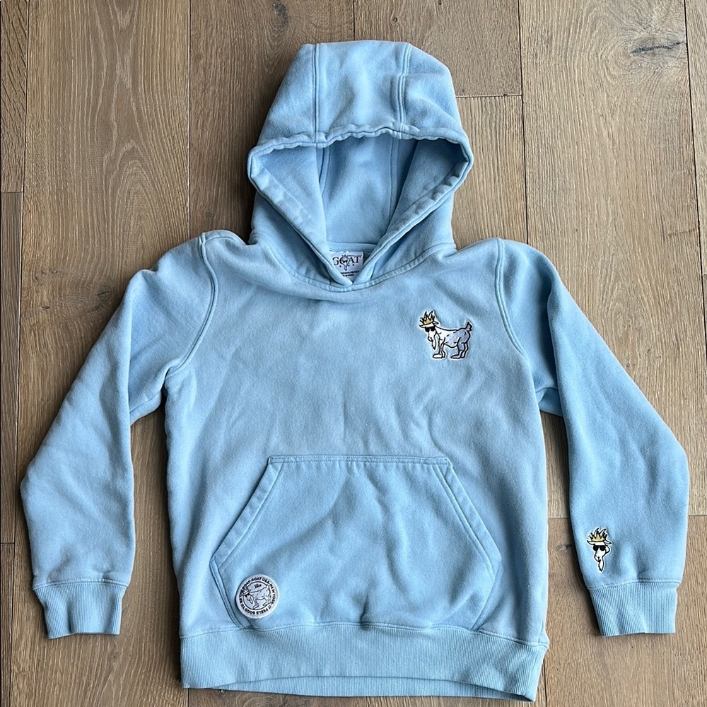Sky Blue Kids Hoodie with Embroidered Dog Design